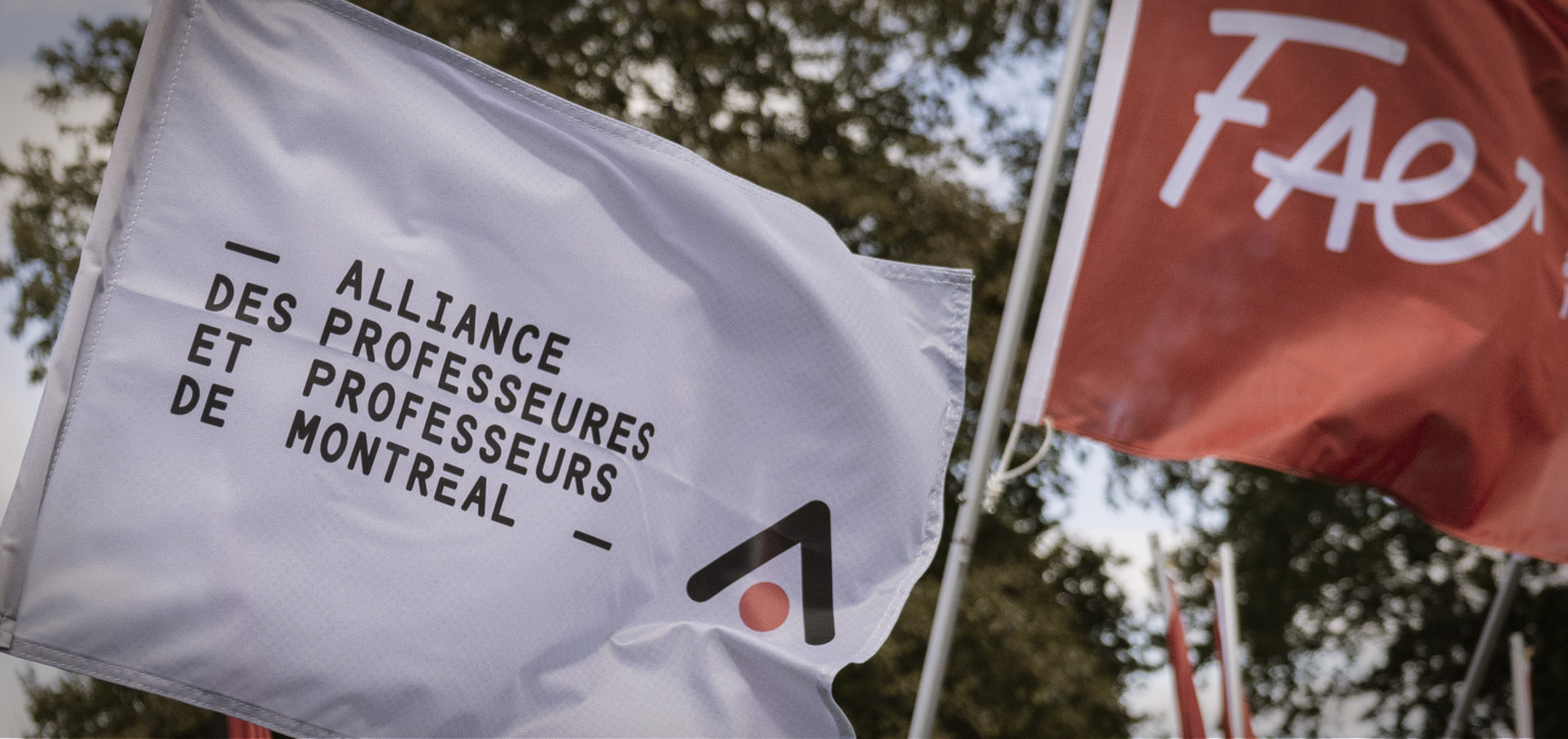 Drapeaux Alliance et FAE